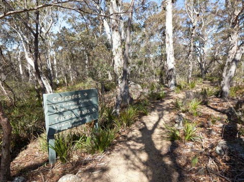 Cascades Walking Track And Viewing Platform - Hotel VIC 0