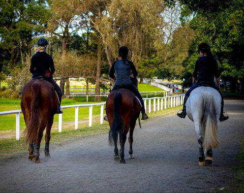 Centennial Stables - Hotel VIC 0