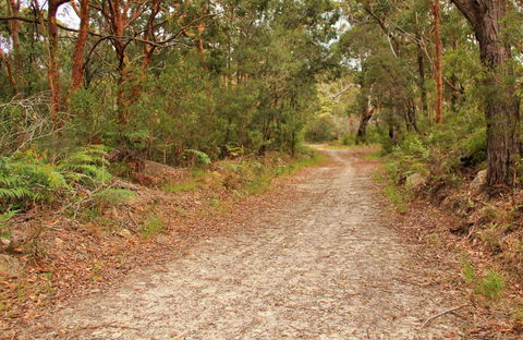Daleys Point Walking Track - Hotel VIC 0