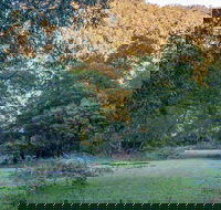 Griffins walking track - Hotel VIC