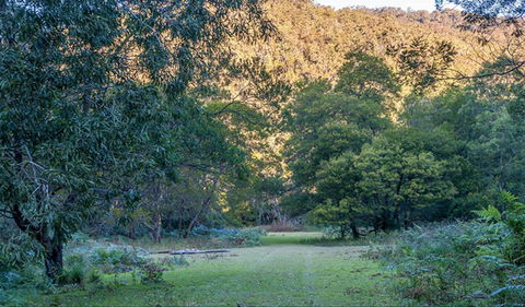 Griffins Walking Track - Hotel VIC 0