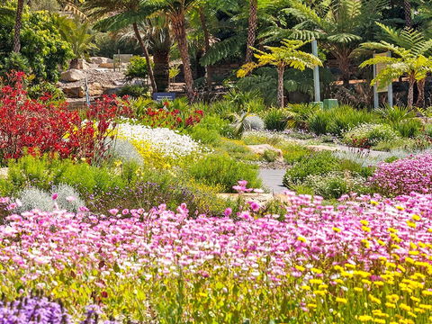 Jurassic Garden AR Experience - Hotel VIC 0