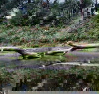 Kayaking Upper Tuross River and Bumbo Lake - Hotel VIC