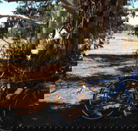 Murchison Rail Trail - Hotel VIC