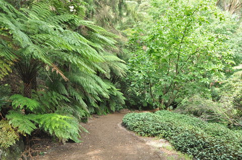 Pirianda Gardens - Hotel VIC 0