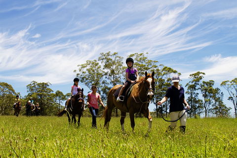 Port Macquarie Horse Riding Centre - Hotel VIC 0