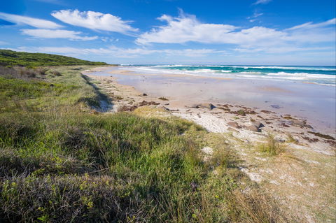 Racecourse Beach: Bawley Point - Hotel VIC 0