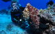 Second Reef Dive Site - thumb 2