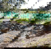 Tactical Paintball Games - Hotel VIC