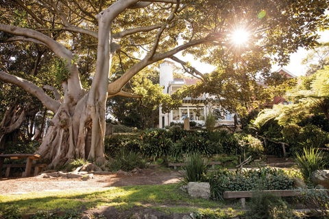 Wendy Whiteley's Secret Garden - Hotel VIC 0