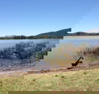 Yarralumla Bay - Hotel VIC