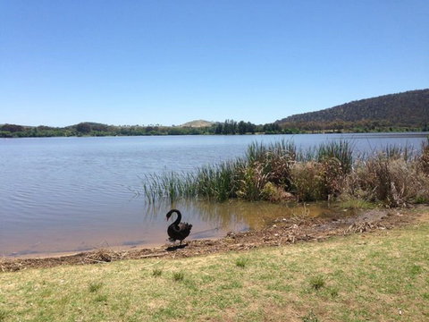 Yarralumla Bay - Hotel VIC 0