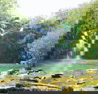 Airlie Beach to Cedar Creek Falls - Hotel VIC