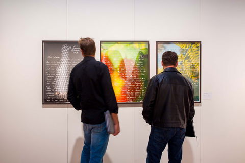 Caboolture Regional Art Gallery - Hotel VIC 0
