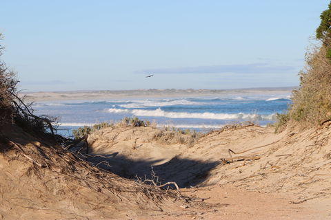 Chadinga Conservation Park - Hotel VIC 1