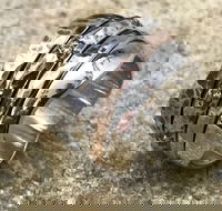 Eclectopia Gifts and Specialty Homewares