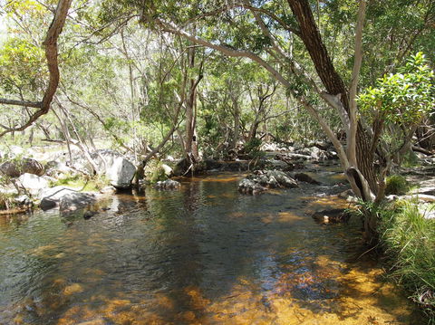Emerald Creek, Dinden West Forest Reserve - Hotel VIC 1