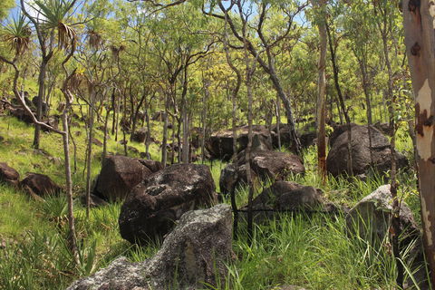 Emerald Creek, Dinden West Forest Reserve - Hotel VIC 2