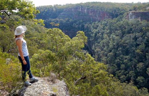 Glenbrook Gorge Track - Hotel VIC 0