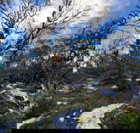 Mount Torbreck Summit Walk