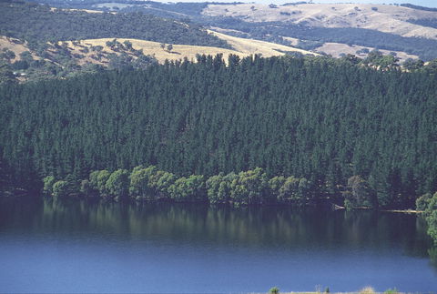 Myponga Reservoir Lookout - Hotel VIC 0