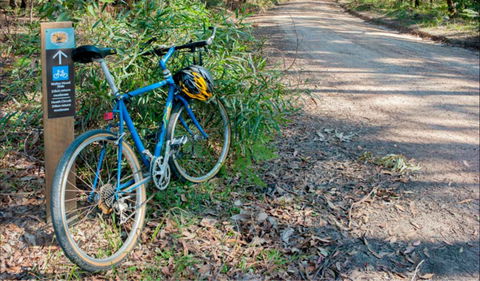 Walter Hood Ride From Cudmirrah - Hotel VIC 0