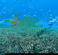 Wreck Bay Dive Site - Hotel VIC