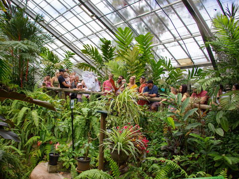 Australian Butterfly Sanctuary - Hotel VIC 2