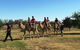 Billabong Ranch Adventure Park - thumb 1
