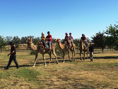 Billabong Ranch Adventure Park - Hotel VIC 1