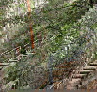 Caleys Lookout Track - Hotel VIC
