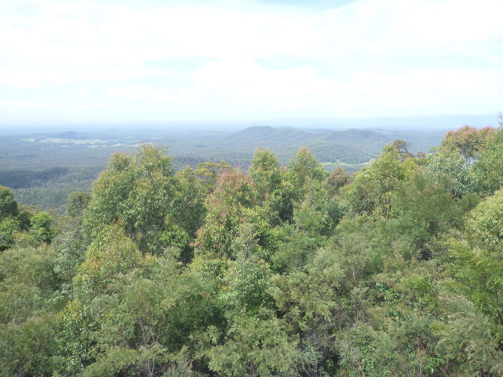 Mungay Creek NSW Hotel VIC