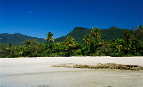 Cow Bay - Hotel VIC 1