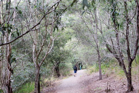 D'Aguilar National Park - Hotel VIC 2