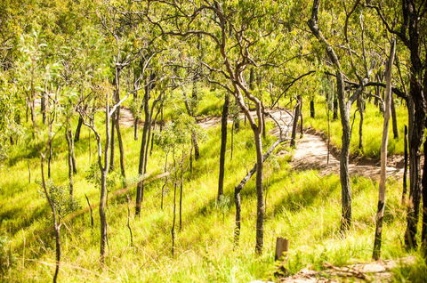 Davies Creek Mountain Bike Park - Hotel VIC 0