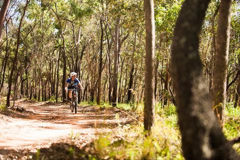 Davies Creek Mountain Bike Park - Hotel VIC 1