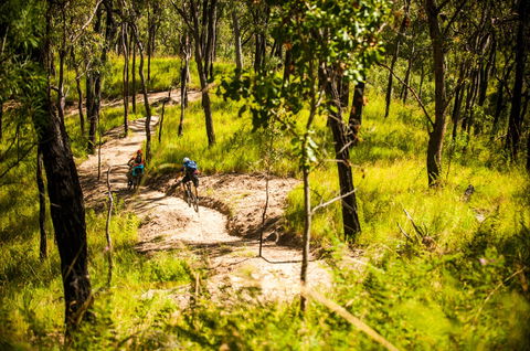 Davies Creek Mountain Bike Park - Hotel VIC 2