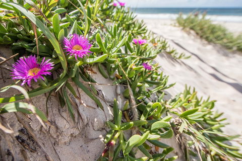Fort Bribie - Hotel VIC 0