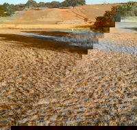 Gunning Golf Club - Hotel VIC