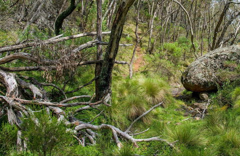 Hopetoun Falls Walking Track - Hotel VIC 0