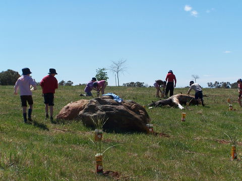Jim Salmon  Wetland Education Site - Hotel VIC 0