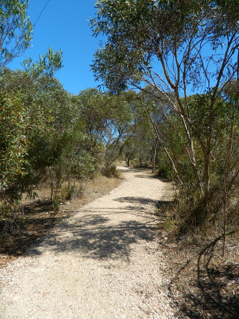 Meningie Lions Walking Trail - Hotel VIC 2