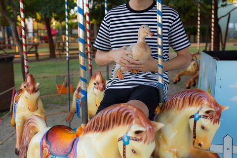Swan Valley Cuddly Animal Farm - Hotel VIC 2