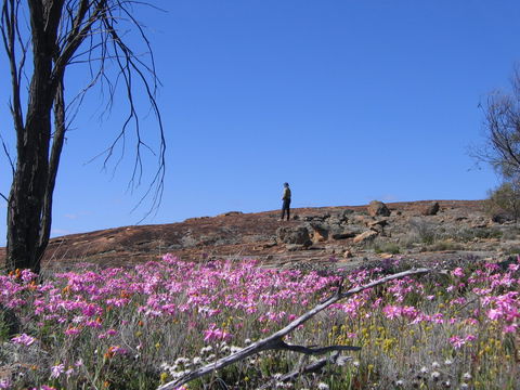 Talgomine Reserve - Hotel VIC 0