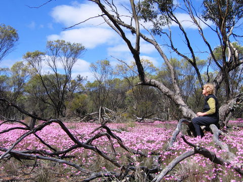Talgomine Reserve - Hotel VIC 1