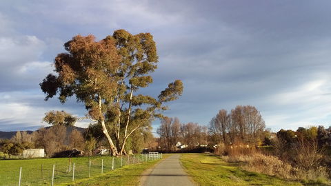 Adelong Falls Walk - Hotel VIC 0