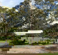 Back Creek picnic area - Hotel VIC