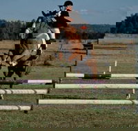 Camden Bicentennial Equestrian Park - Hotel VIC