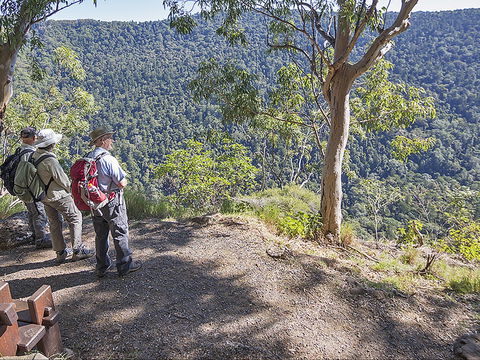 Caves Circuit, Lamington National Park - Hotel VIC 0
