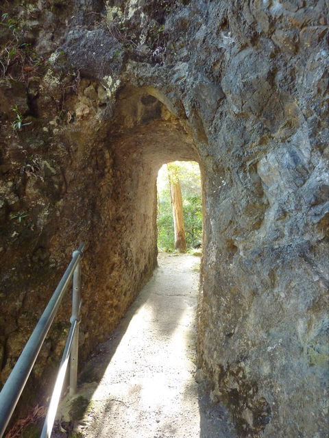 Caves Circuit, Lamington National Park - Hotel VIC 1